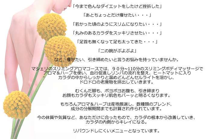 スリミングボディアロマ説明文